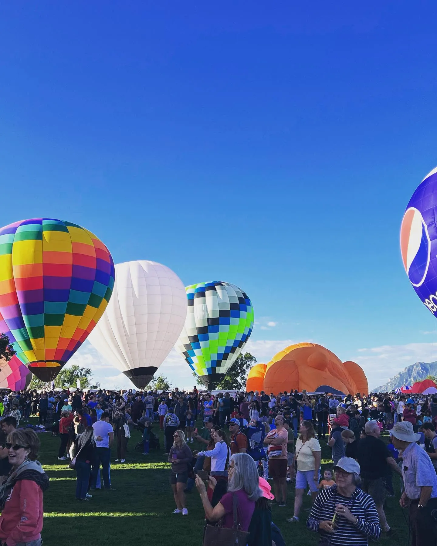 Wide view of the festival